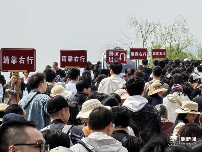 “车车车你车车车”冲上了热搜！第一批游客抵达，约满、限流，多地紧急提醒