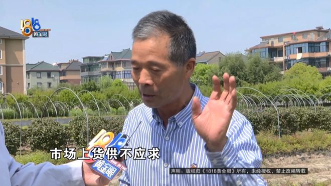 苗圃老板买了一款除草剂，用完之后：估算损失六七十万