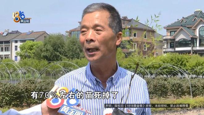 苗圃老板买了一款除草剂，用完之后：估算损失六七十万