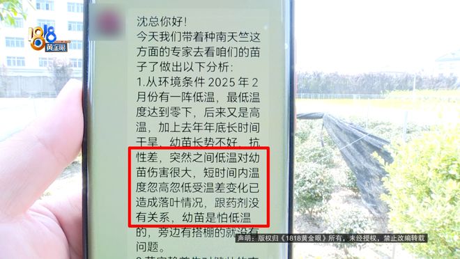 苗圃老板买了一款除草剂，用完之后：估算损失六七十万