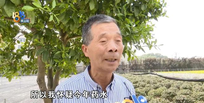 苗圃老板买了一款除草剂，用完之后：估算损失六七十万